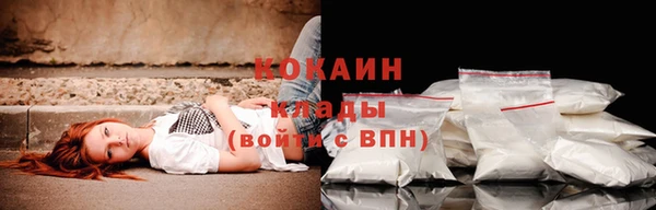 спайс Аркадак