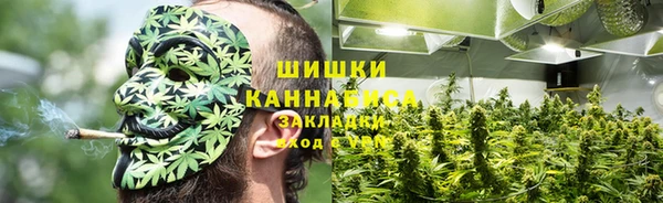 сатива Арсеньев