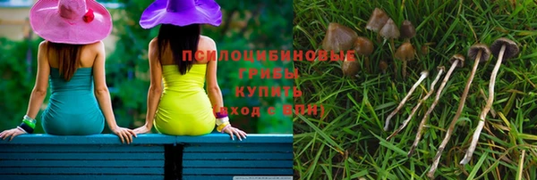 сатива Арсеньев