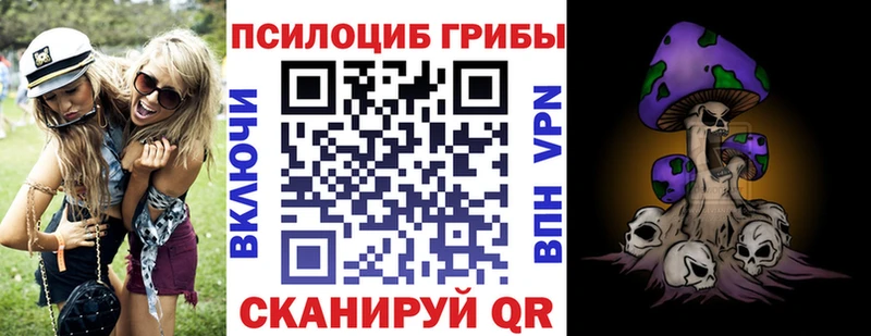 Псилоцибиновые грибы мицелий  что такое   Починок 
