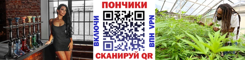 дарнет шоп  Починок  МАРИХУАНА сатива 